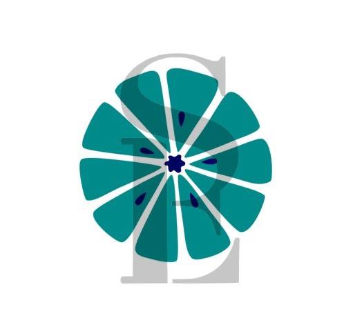 Citrus Full & Half Slice Set Digital Design cookie Stencil