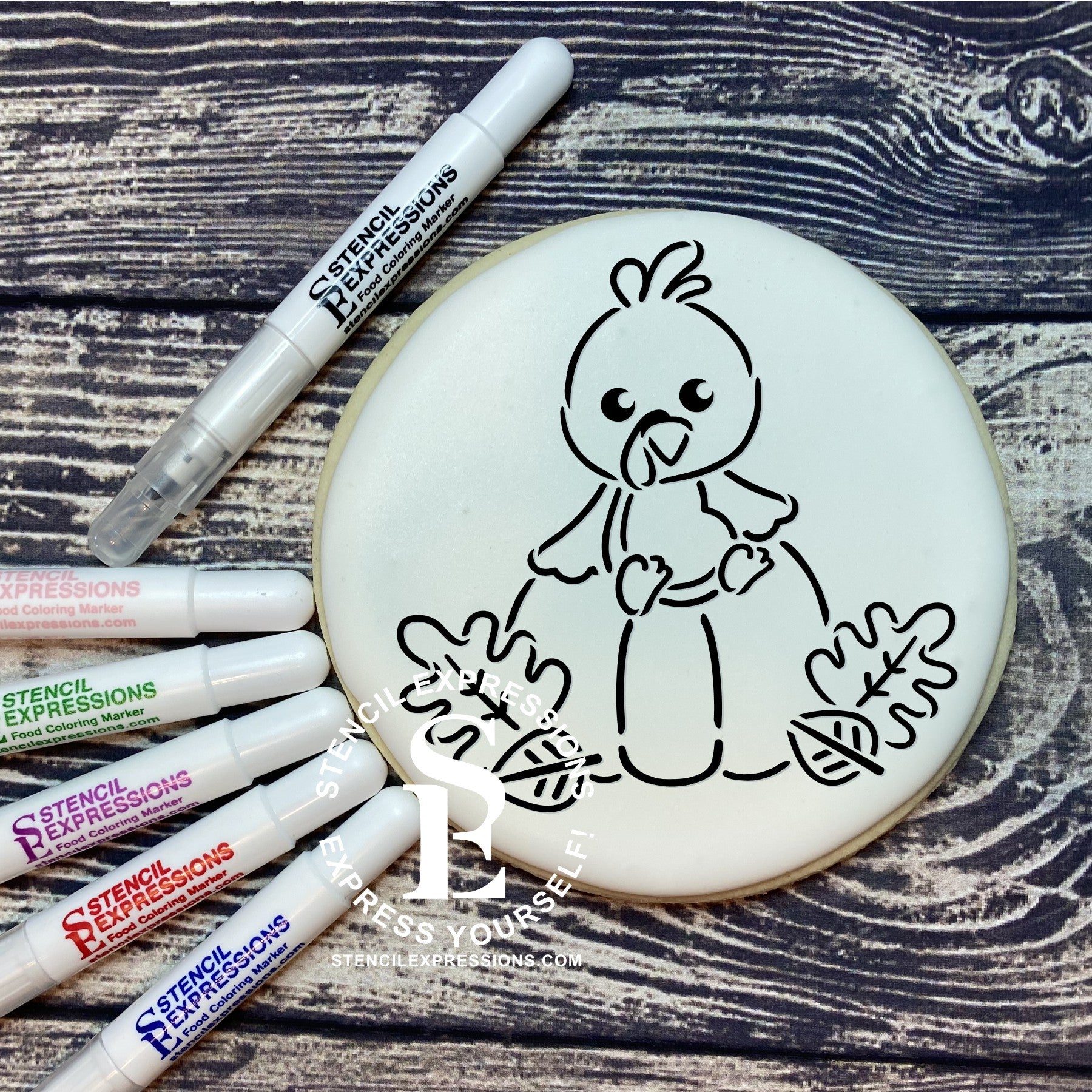 Thanksgiving Turkey and Pumpkin PYO Digital Design *