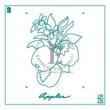 Apple Theorem 4-Layer Stencil