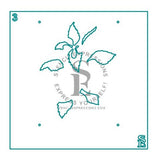 Apple Theorem 4-Layer Stencil