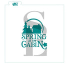 Seasons: Winter, Spring, Summer, Fall at the River, Lake, Coast, Cabin, City Bundle Digital Design Cookie Stencils