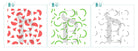 Watermelon Background Stencil Set for Cookies, Cakes & Culinary